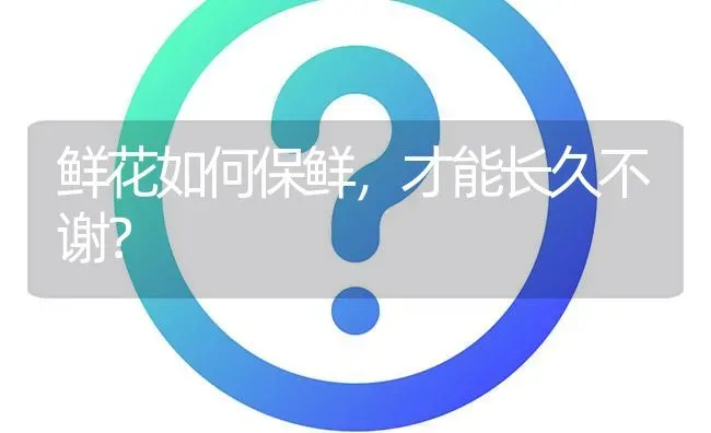 鲜花如何保鲜,才能长久不谢? | 养殖问题解答