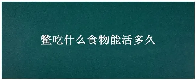 鳖吃什么食物能活多久 | 农业问题