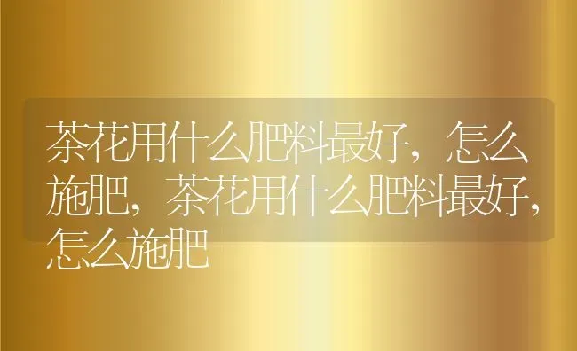 茶花用什么肥料最好，怎么施肥,茶花用什么肥料最好，怎么施肥 | 养殖常见问题