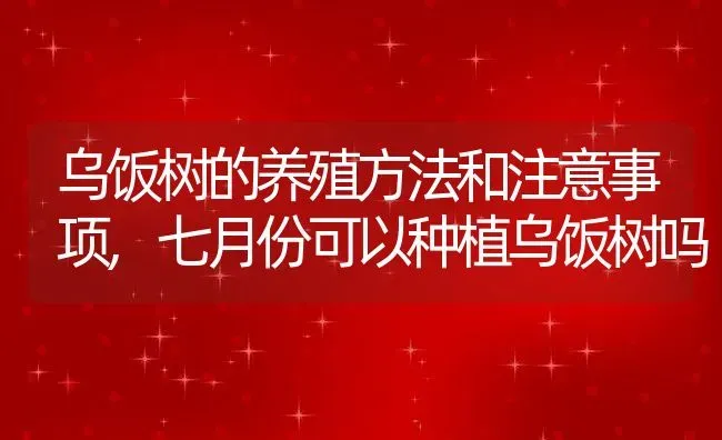 乌饭树的养殖方法和注意事项,七月份可以种植乌饭树吗 | 养殖常见问题