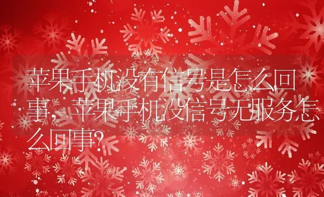 苹果手机没有信号是怎么回事,苹果手机没信号无服务怎么回事？ | 养殖常见问题