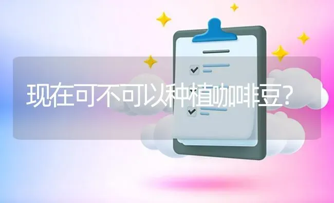 现在可不可以种植咖啡豆? | 养殖问题解答