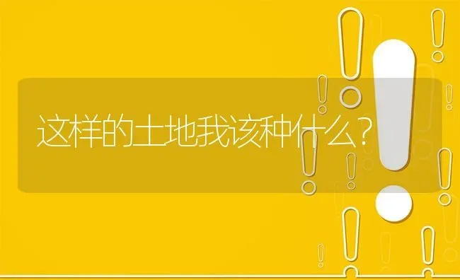 这样的土地我该种什么? | 养殖问题解答