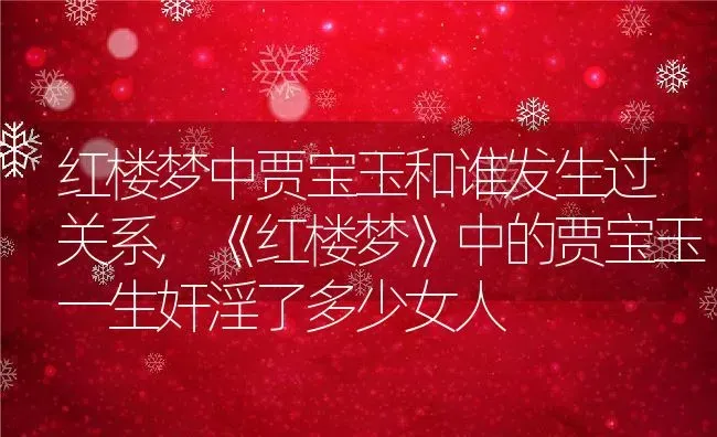 红楼梦中贾宝玉和谁发生过关系,《红楼梦》中的贾宝玉一生奸淫了多少女人 | 养殖常见问题