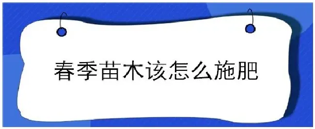 春季苗木该怎么施肥 | 农业常识