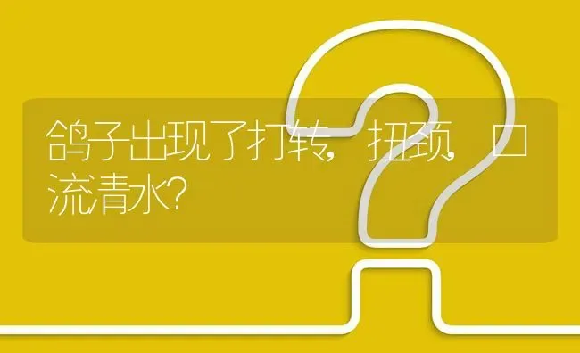 鸽子出现了打转,扭颈,口流清水? | 养殖问题解答