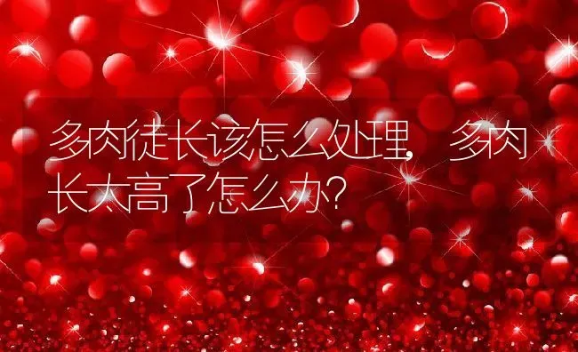 多肉徒长该怎么处理,多肉长太高了怎么办？ | 养殖常见问题