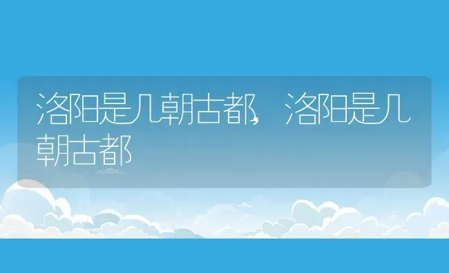 食蚊草怎么养殖,食蝇草的养殖方法？ | 养殖常见问题