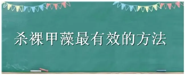 杀裸甲藻最有效的方法 | 农业常识