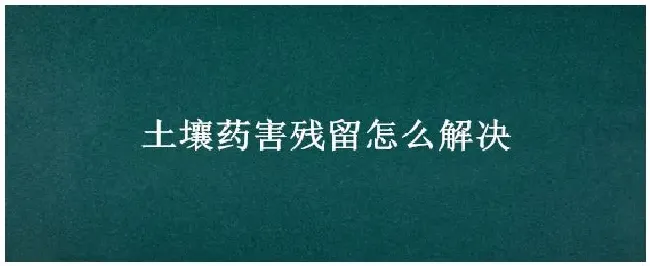 土壤药害残留怎么解决 | 三农答疑