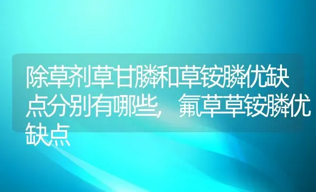 除草剂草甘膦和草铵膦优缺点分别有哪些,氟草草铵膦优缺点 | 养殖常见问题