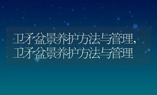 卫矛盆景养护方法与管理,卫矛盆景养护方法与管理 | 养殖常见问题