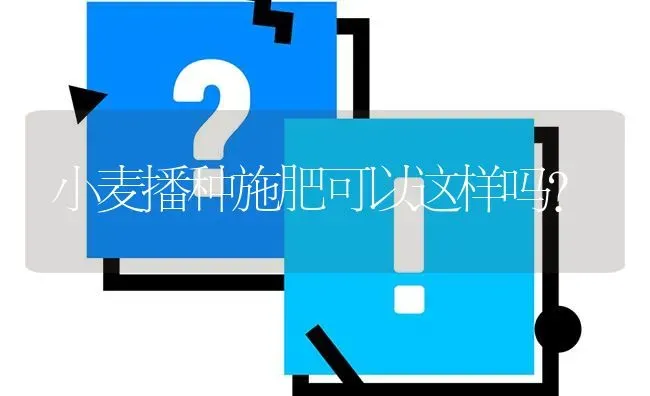 小麦播种施肥可以这样吗? | 养殖问题解答