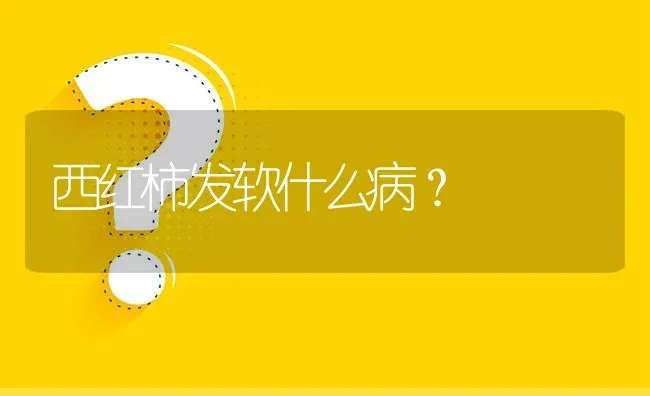 西红柿发软什么病? | 养殖问题解答