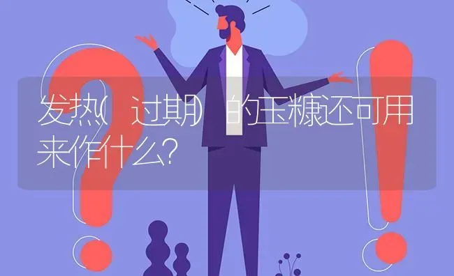 发热(过期)的玉糠还可用来作什么? | 养殖问题解答