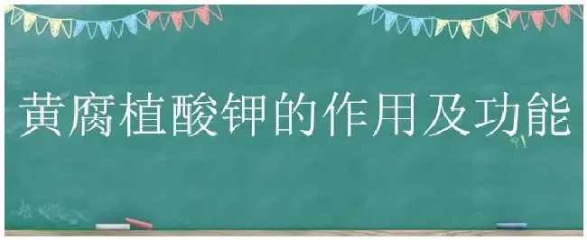 黄腐植酸钾的作用及功能 | 科普知识