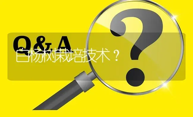 白杨树栽培技术? | 养殖问题解答