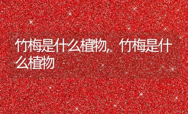 竹梅是什么植物,竹梅是什么植物 | 养殖常见问题