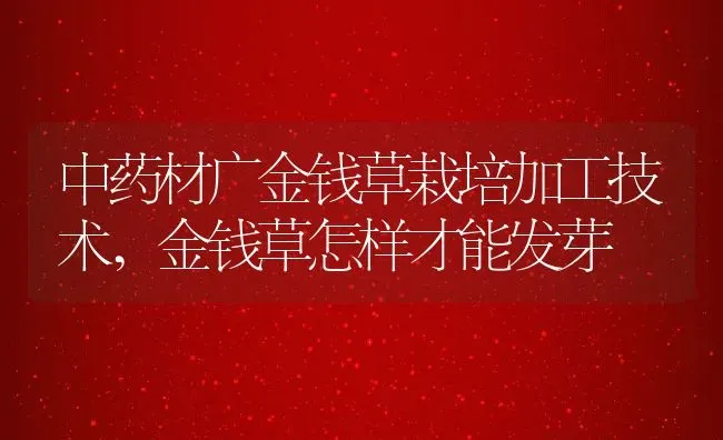 中药材广金钱草栽培加工技术,金钱草怎样才能发芽 | 养殖常见问题