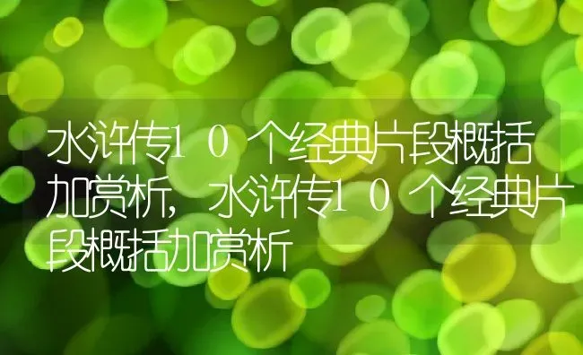 水浒传10个经典片段概括加赏析,水浒传10个经典片段概括加赏析 | 养殖常见问题