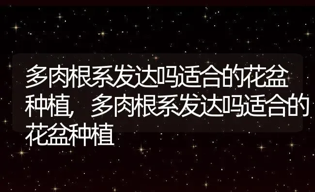 多肉根系发达吗适合的花盆种植,多肉根系发达吗适合的花盆种植 | 养殖常见问题