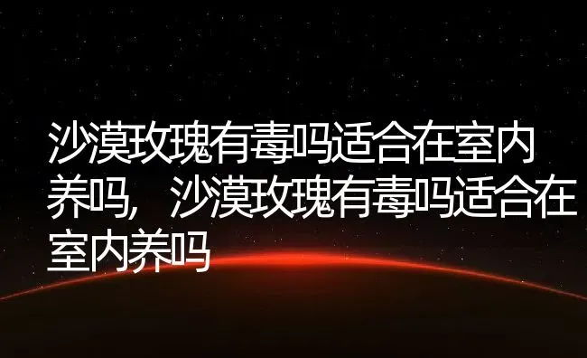 沙漠玫瑰有毒吗适合在室内养吗,沙漠玫瑰有毒吗适合在室内养吗 | 养殖常见问题