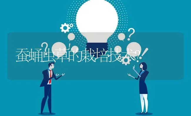 蚕蛹虫草的栽培技术? | 养殖问题解答