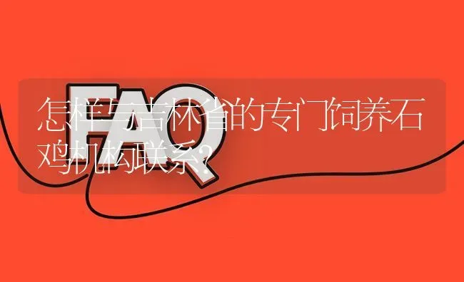 怎样与吉林省的专门饲养石鸡机构联系? | 养殖问题解答