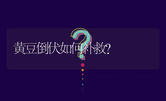 黄豆倒伏如何补救? | 养殖问题解答