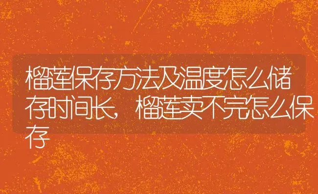 榴莲保存方法及温度怎么储存时间长,榴莲卖不完怎么保存 | 养殖常见问题