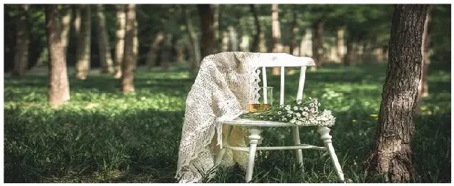 花草多久浇一次水合适 | 生活常识