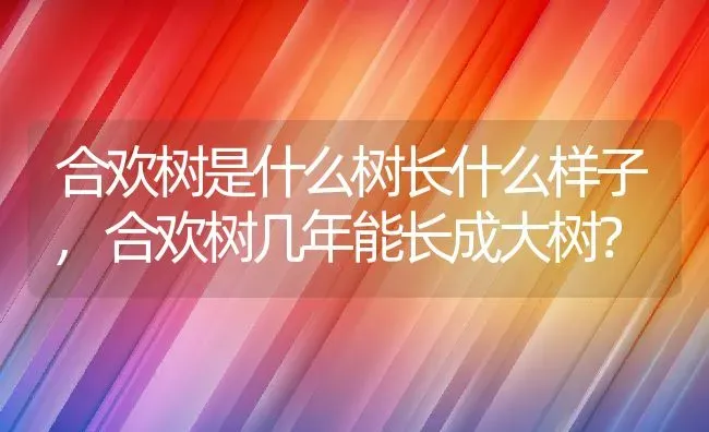 合欢树是什么树长什么样子,合欢树几年能长成大树？ | 养殖常见问题
