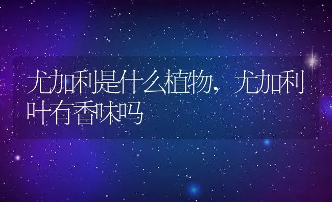 品牌男装排行榜前十名,中老年实惠的男装品牌有哪些 | 养殖常见问题