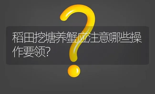 稻田挖塘养蟹应注意哪些操作要领? | 养殖问题解答