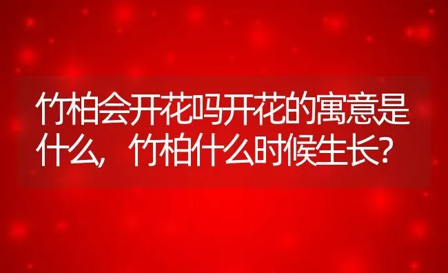竹柏会开花吗开花的寓意是什么,竹柏什么时候生长？ | 养殖常见问题
