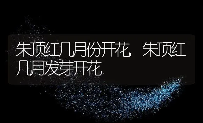 朱顶红几月份开花,朱顶红几月发芽开花 | 养殖常见问题