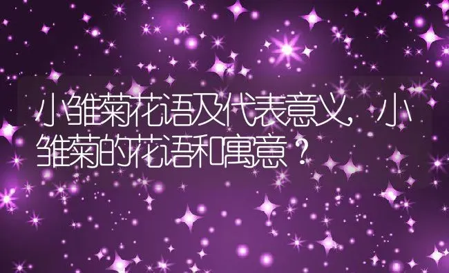 小雏菊花语及代表意义,小雏菊的花语和寓意？ | 养殖常见问题
