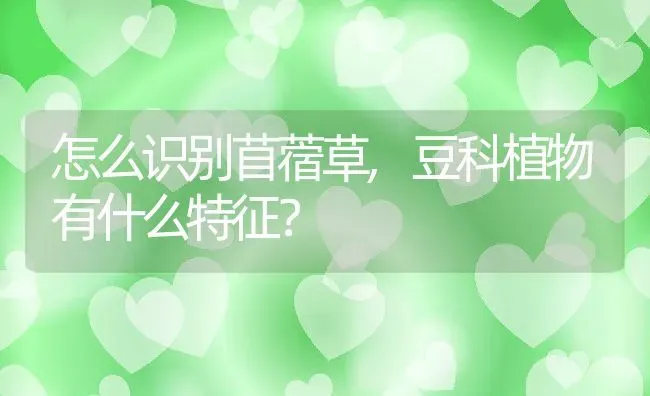 怎么识别苜蓿草,豆科植物有什么特征？ | 养殖常见问题