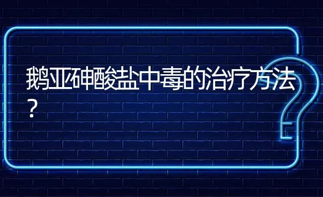 鹅亚砷酸盐中毒的治疗方法? | 养殖问题解答