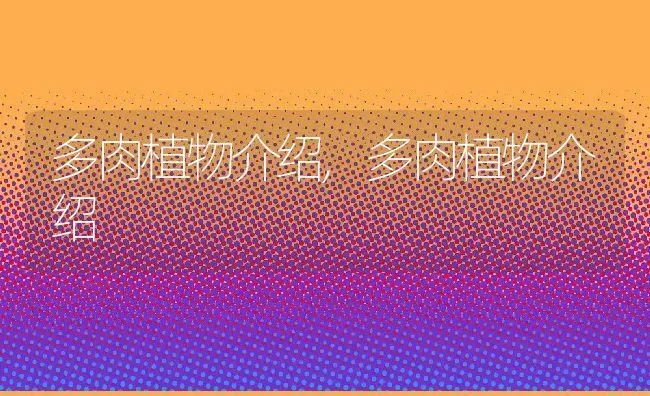 多肉植物介绍,多肉植物介绍 | 养殖常见问题