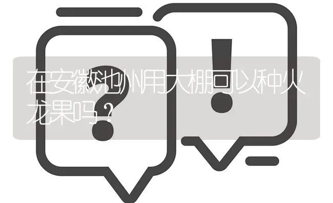 在安徽池州用大棚可以种火龙果吗? | 养殖问题解答