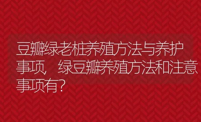 豆瓣绿老桩养殖方法与养护事项,绿豆瓣养殖方法和注意事项有？ | 养殖常见问题