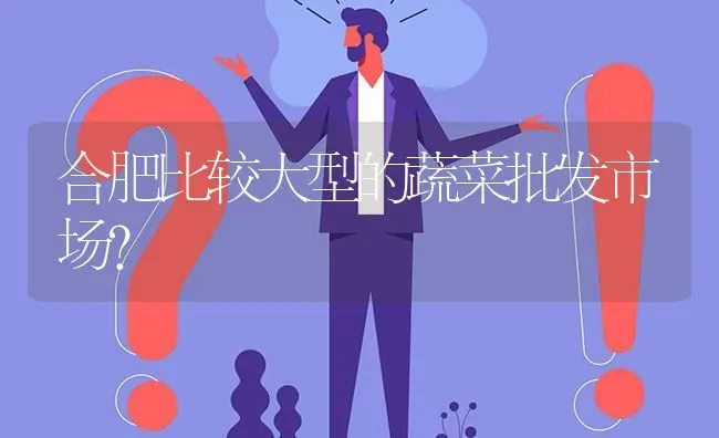 合肥比较大型的蔬菜批发市场? | 养殖问题解答