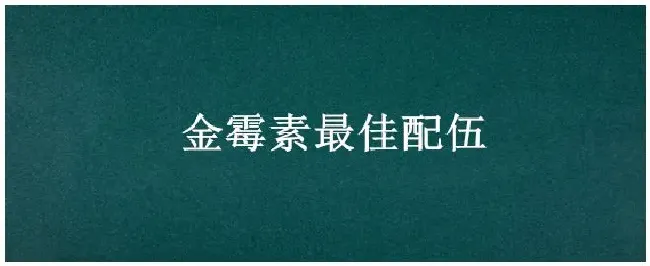 金霉素最佳配伍 | 三农答疑
