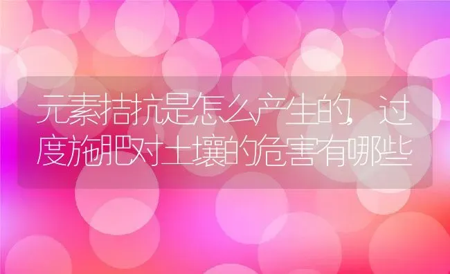 元素拮抗是怎么产生的,过度施肥对土壤的危害有哪些 | 养殖常见问题