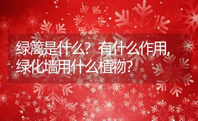 绿篱是什么?有什么作用,绿化墙用什么植物？ | 养殖常见问题