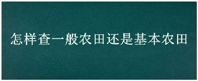 怎样查一般农田还是基本农田 | 科普知识