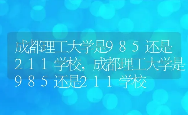 成都理工大学是985还是211学校,成都理工大学是985还是211学校 | 养殖常见问题