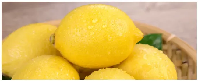 柠檬长在哪里 | 农业问题