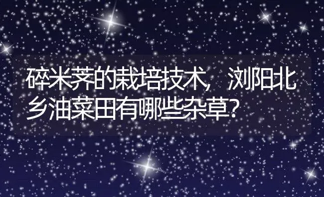 碎米荠的栽培技术,浏阳北乡油菜田有哪些杂草？ | 养殖常见问题